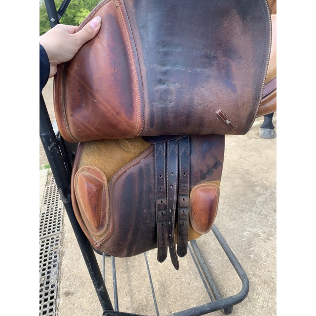 Urgent Selle bates caprilli