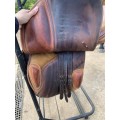 Urgent Selle bates caprilli