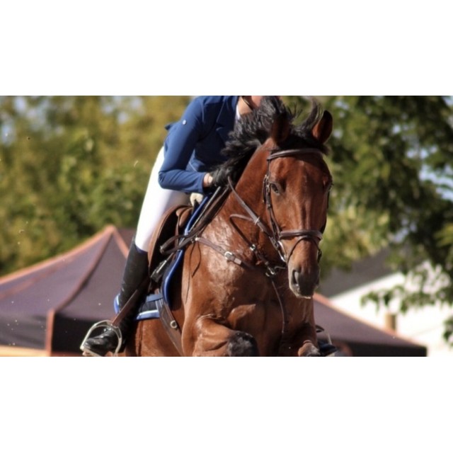 Veste de concours Oscar & Gabrielle bleu