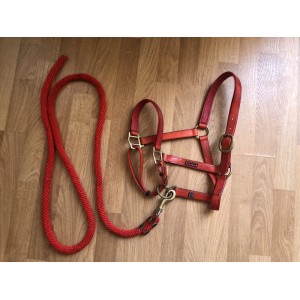 Licol et longe Norton synthétique