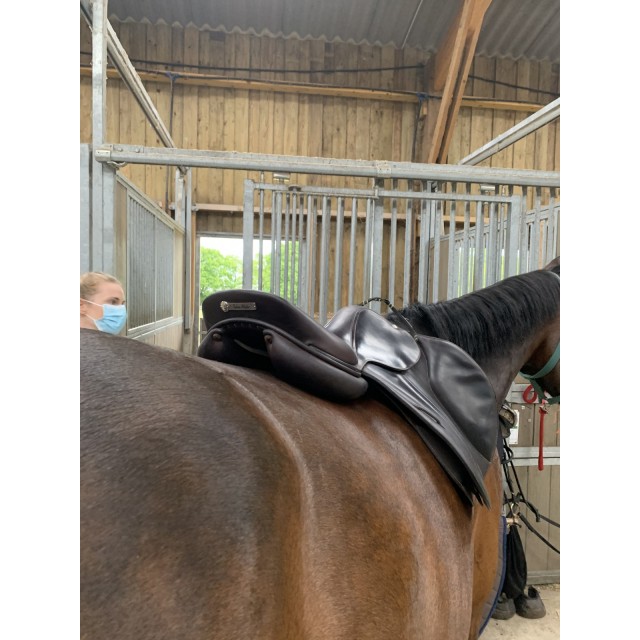 Selle Butet doublée veau 17,5 pouces de 2019