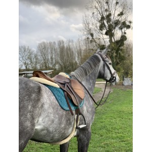 Selle Butet d’obstacles