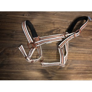 licol t’aille cheval