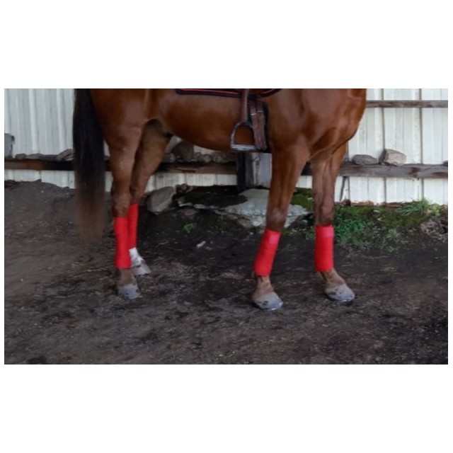 Bande polo rouge vif