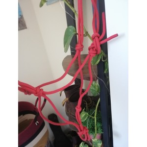 Licol en corde rouge fait main