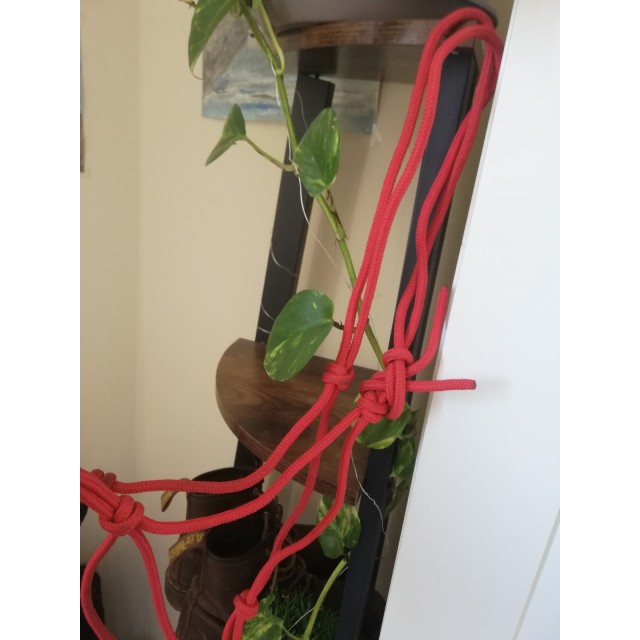 Licol en corde rouge fait main