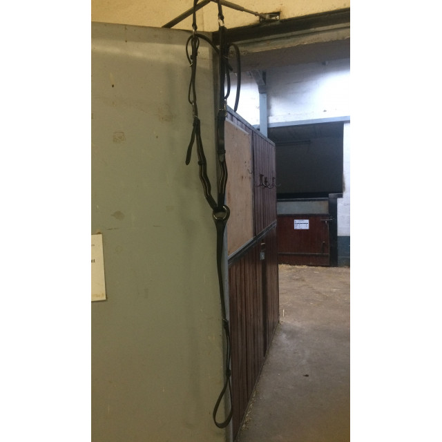 Collier de chasse