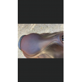 Selle CWD