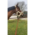 Licole mouton jacson