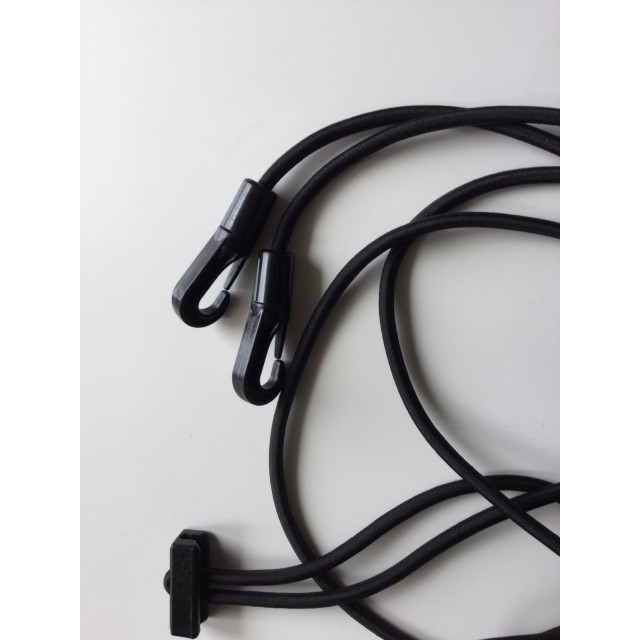 Enrênements élastiques cheval