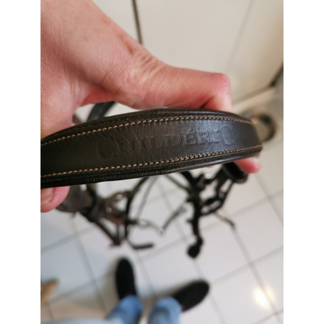 Bridon cheval childeric