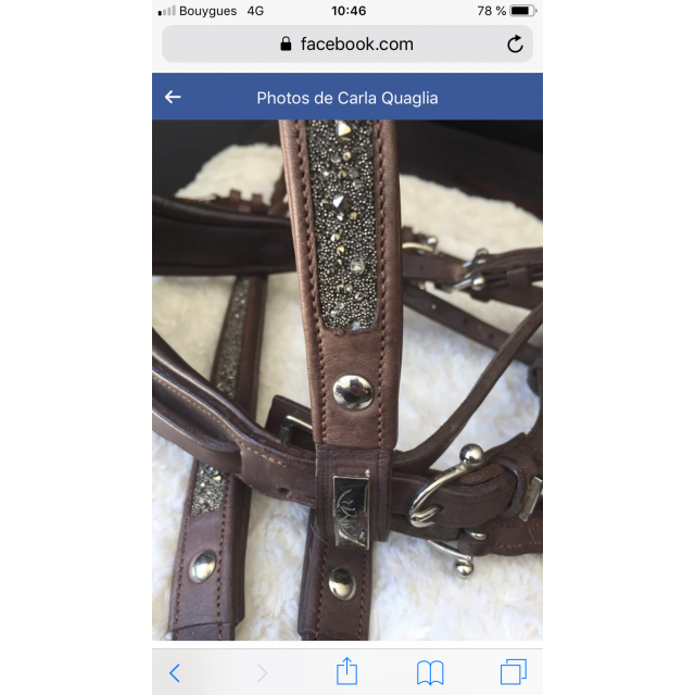 Ensemble Filet Collier de chasse et Rênes