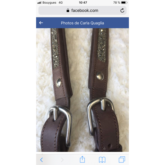 Ensemble Filet Collier de chasse et Rênes