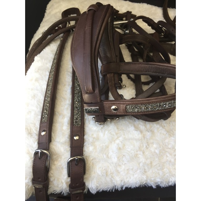 Ensemble Filet Collier de chasse et Rênes