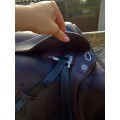 Selle Prestige 17"