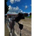 Selle Prestige 17"