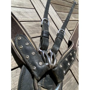 collier de chasse pro tanner