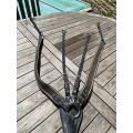 collier de chasse pro tanner