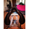 Selle dressage Stubben romanus