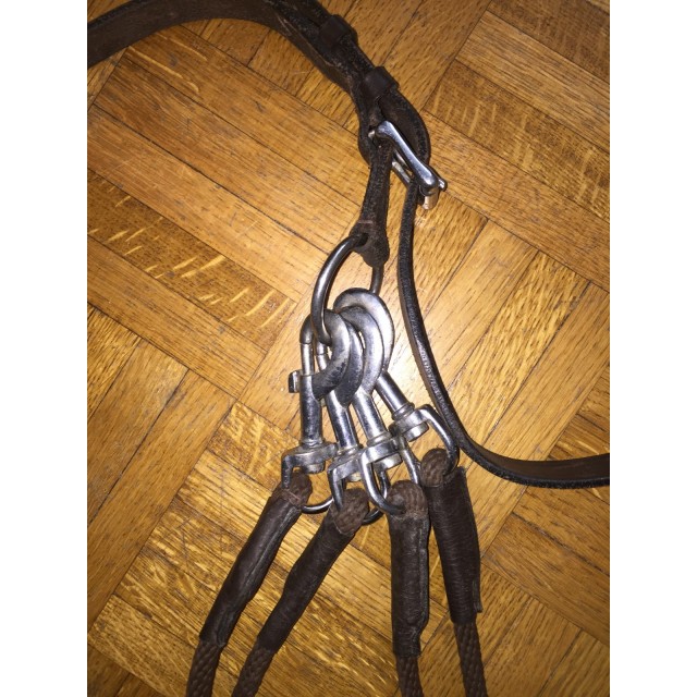 Gogue Protaneur marron