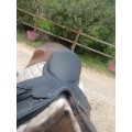 Selle Norton pro mixte