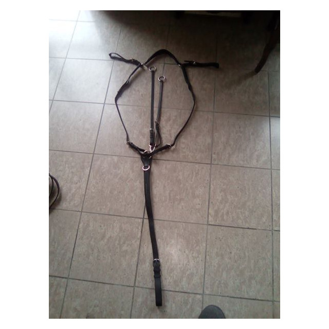 collier de chasse PRIVILEGE EQUITATION Modèle ROYAN