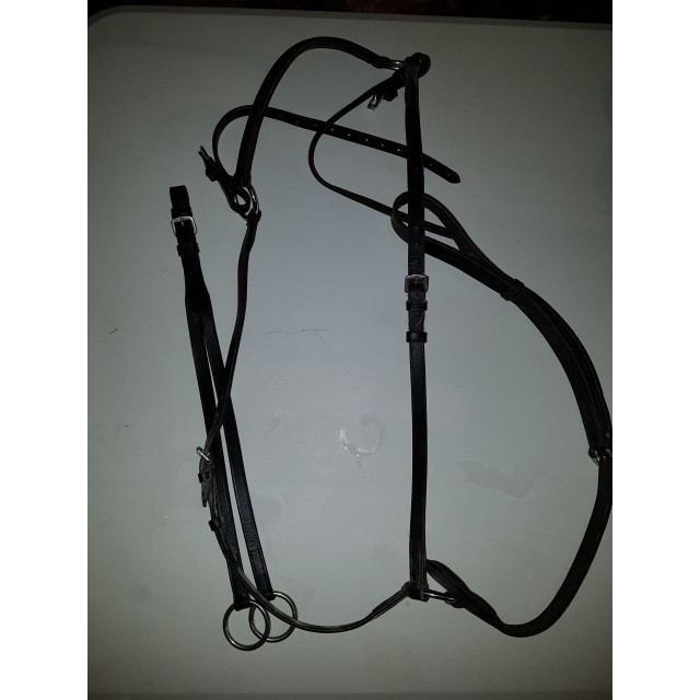 Collier de chasse
