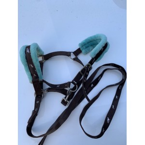 Licol avec moumoute bleu