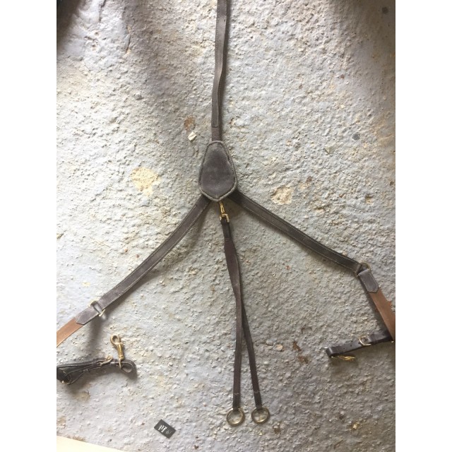 Collier de chasse marron et or