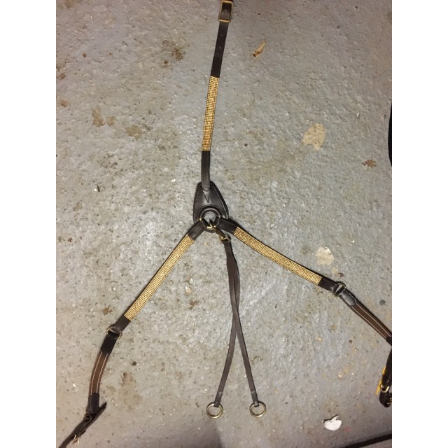 Collier de chasse marron et or