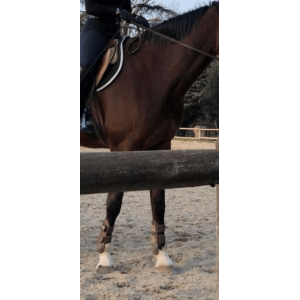 guerres et protège boulet CWD