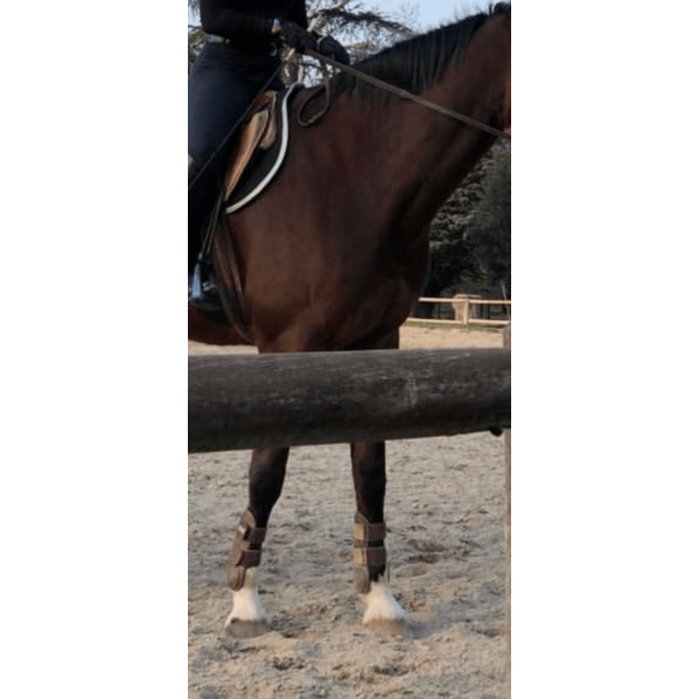 guerres et protège boulet CWD