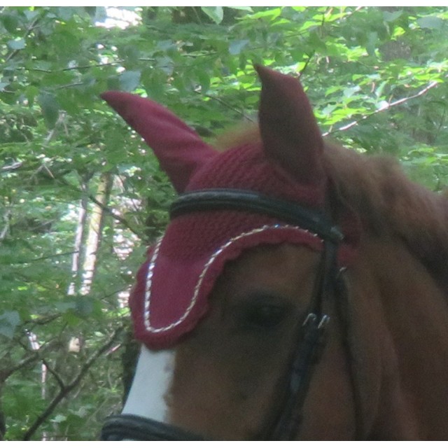 Tapis + Bonnet Lamicell Bordeaux PARFAIT ÉTAT