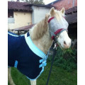 Couverture polaire sechante