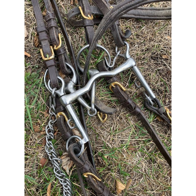 Bride Éric Thomas taille cheval