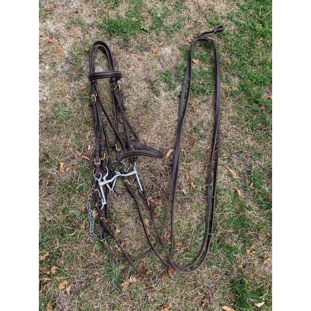 Bride Éric Thomas taille cheval