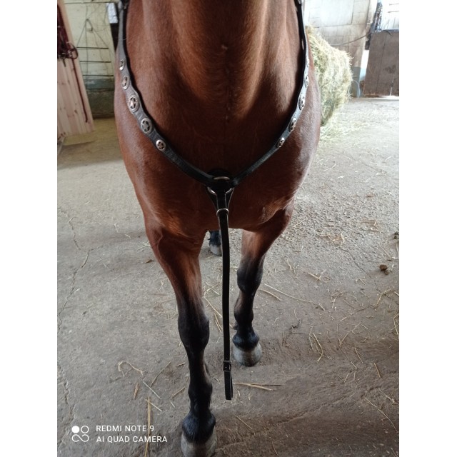 Collier de chasse