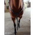 Collier de chasse