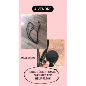 Gogue Éric Thomas pro