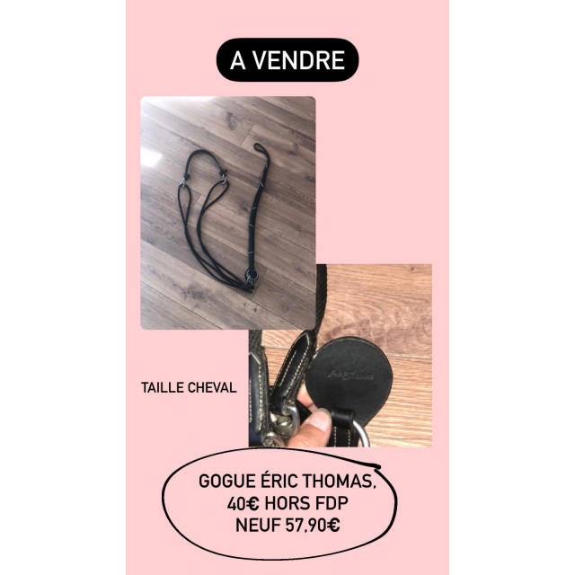 Gogue Éric Thomas pro