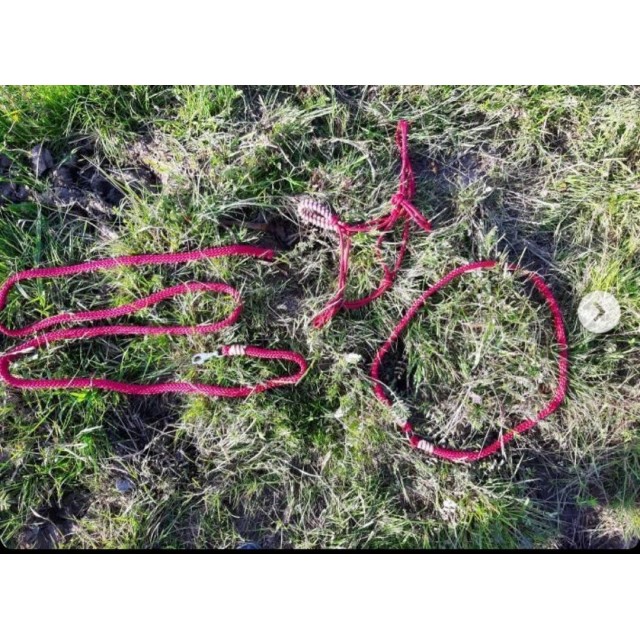 Licol éthologique+ longe 2.80m et Cordelette