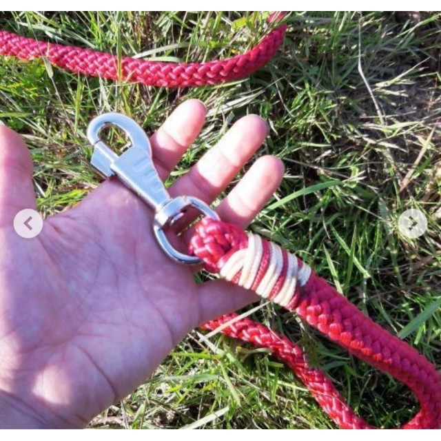 Licol éthologique+ longe 2.80m et Cordelette