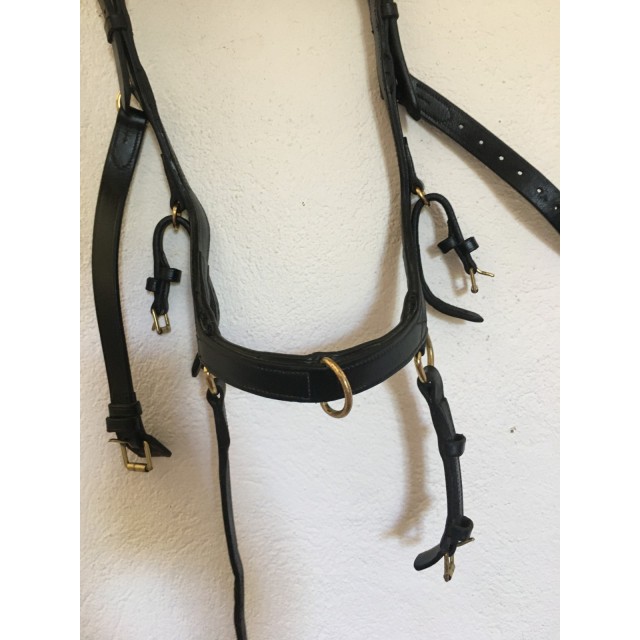 Bridon micklem poney