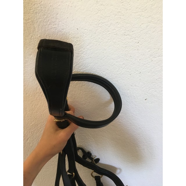 Bridon micklem poney