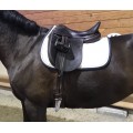 Selle de dressage DARROZE