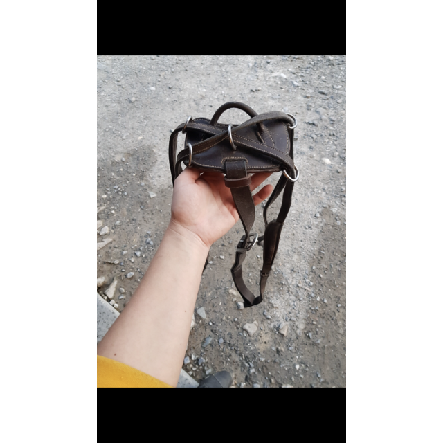 Collier de chasse 5 points