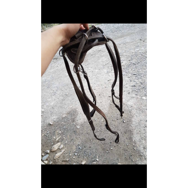 Collier de chasse 5 points