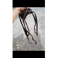 Collier de chasse 5 points