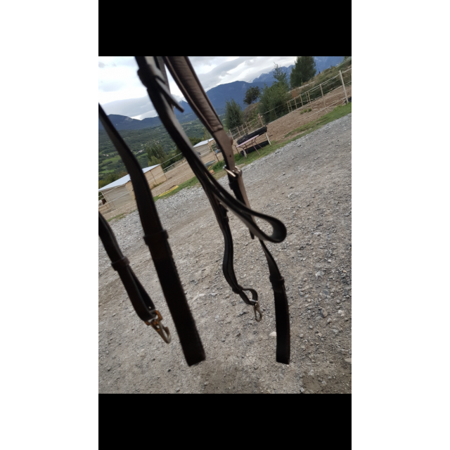 Collier de chasse 5 points