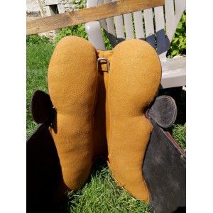 Selle australienne
